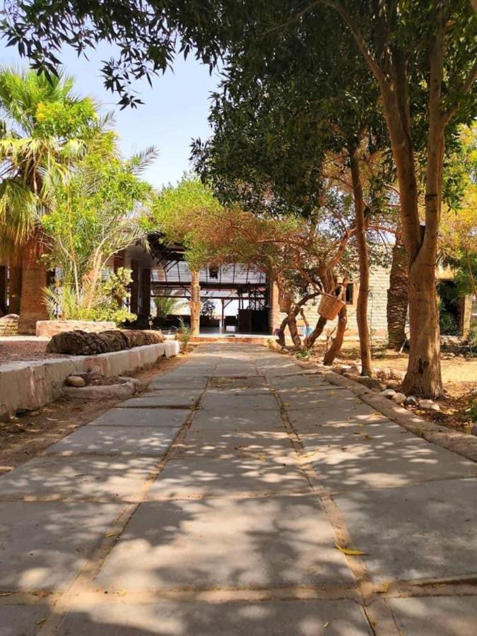 Elbadawy Camp Hotel Nuweiba Ngoại thất bức ảnh